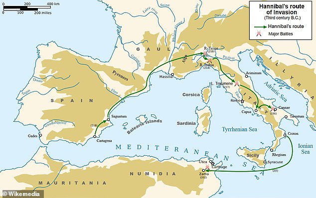 Ancient Elephant Bone in Spain Offers First Physical Evidence of Hannibal's Alpine Crossing