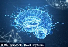 Simple Brain Training Could Cut Dementia Risk by 25%, Study Finds