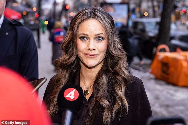 Sweden's Princess Sofia Confirms Meetings with Jeffrey Epstein, as DOJ Documents Spark Renewed Scrutiny