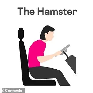 How Your Driving Posture Could Be Hurting Your Musculoskeletal Health, Warns Chiropractor