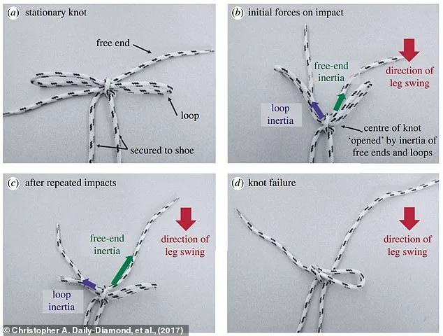 Shoelace Tying Reimagined: Experts Challenge Traditional Methods with Faster, Durable Alternatives Inspired by Ian Fieggen's Work