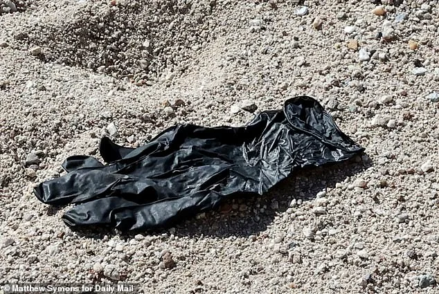 DNA Discovery Offers Breakthrough in Nancy Guthrie Abduction Case as CODIS Match Sparks Hope