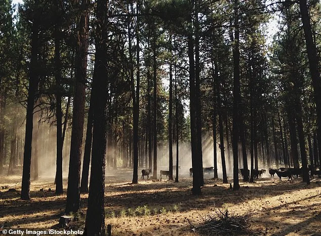 Oregon's Push for a Hunting and Fishing Ban Gains Momentum as PEACE Initiative Seeks to Reshape State's Outdoor Traditions