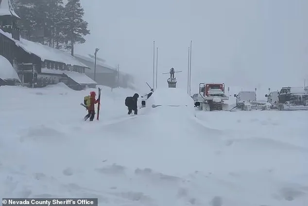 Avalanche in Sierra Nevada Kills 9, Including Mothers of Sugar Bowl Academy Students