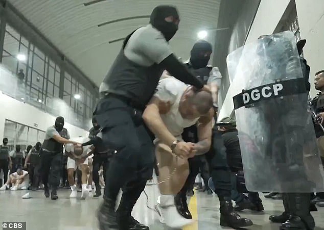 Bari Weiss Withdraws from UCLA Lecture Amid Security Concerns and Opposition