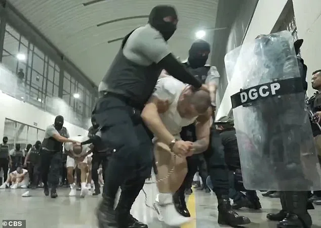 Bari Weiss Withdraws from UCLA Lecture Amid Security Concerns and Opposition