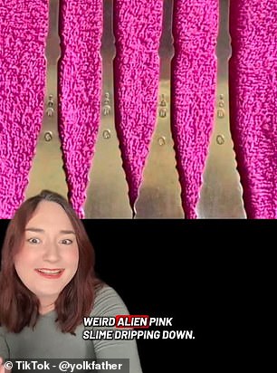 Viral TikTok Illusion: Pink Shapes Spark Debate Over Alien Slime or Forks