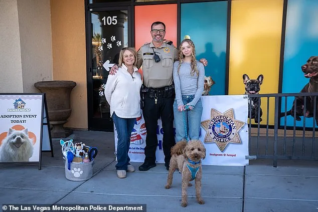 Goldendoodle Jet Blue Abandoned at Las Vegas Airport; Owner Charged with Animal Abandonment