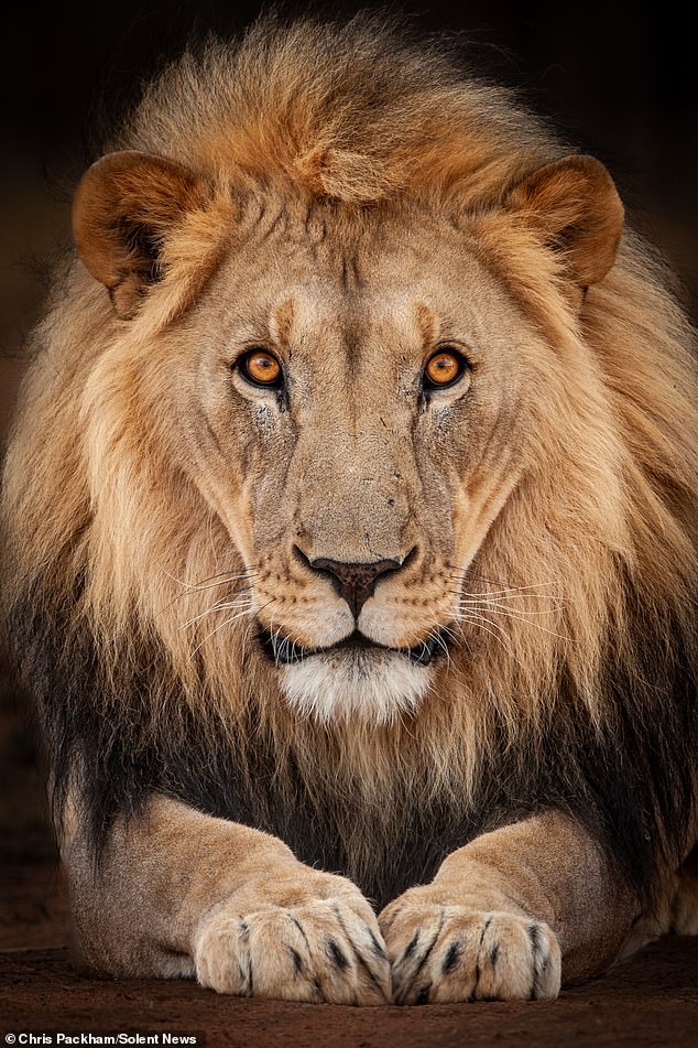 Chris Packham's *More Beautiful Than You* Exhibition Reveals 15 Years of Capturing Nature's Raw Beauty