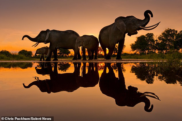 Chris Packham's *More Beautiful Than You* Exhibition Reveals 15 Years of Capturing Nature's Raw Beauty