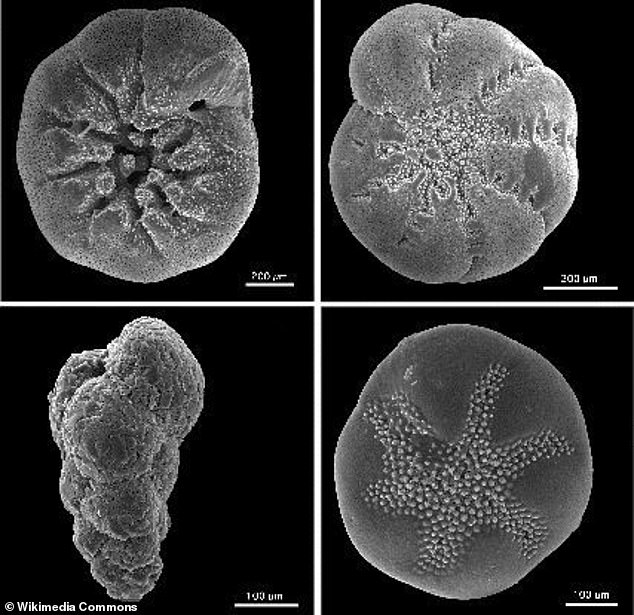 Earth's Days Are Stretching Due to Climate-Driven Shifts in Rotation