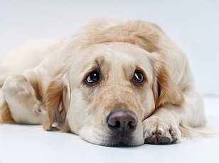 Seven Subtypes of Hyperarousal Discovered, Revolutionizing Mental Health Treatment Approaches