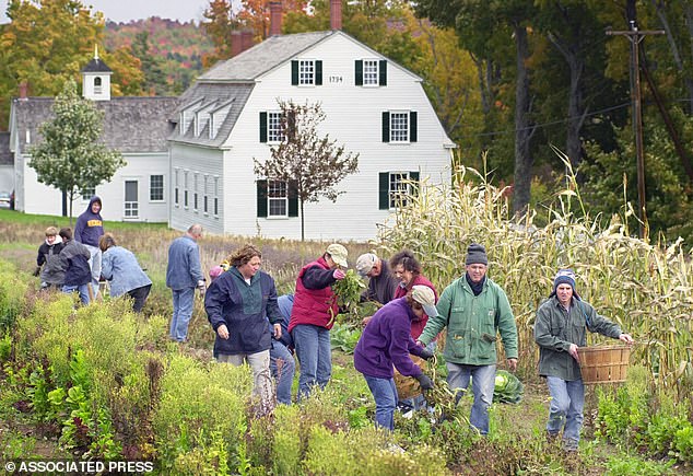 Oscar Snub for 'The Testament of Ann Lee' Reignites Interest in Shaker History