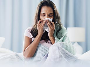 Breakthrough Discovery: Seaweed Compounds Show Promise in Preventing Norovirus, Offering Vaccine Alternative