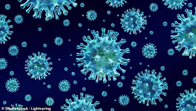 Breakthrough Discovery: Seaweed Compounds Show Promise in Preventing Norovirus, Offering Vaccine Alternative