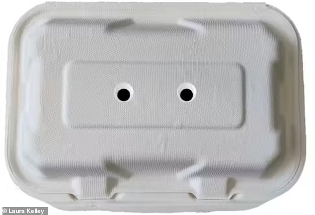 Googly Eyes on Takeaway Boxes Deter Seagulls, Study Shows