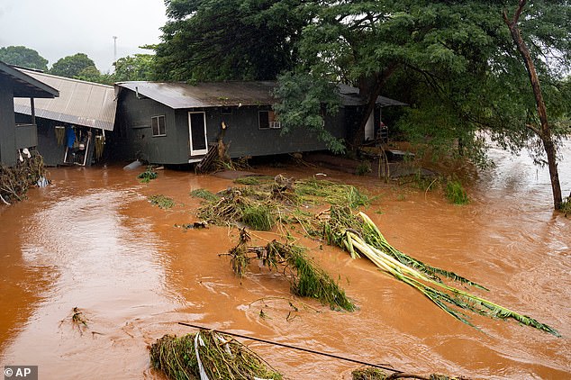 Hawaii Flood Rescue: 230 Rescued as Storm Unleashes Worst Flooding in Two Decades