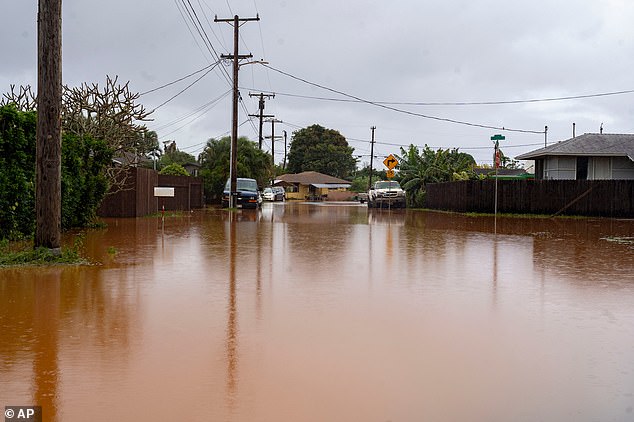 Hawaii Flood Rescue: 230 Rescued as Storm Unleashes Worst Flooding in Two Decades