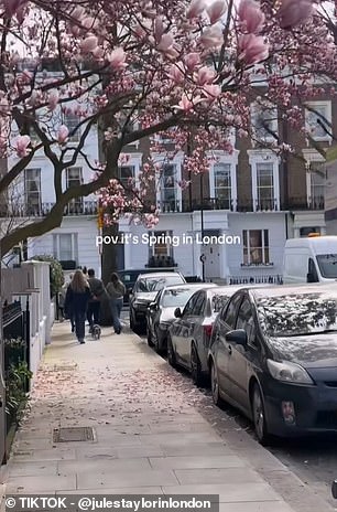 Brits Caught in 'Fool's Spring' Freeze After Record Warmth