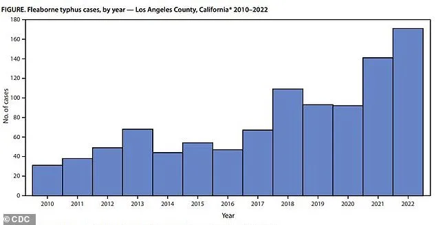 Deadly Flea-Borne Typhus Surges in Los Angeles County, Hospitalizing 90% of Infected Patients