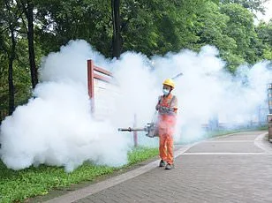 From Paradise to Peril: A Family's Nightmare Unfolds in Punta Cana