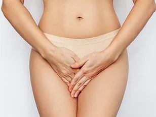 Scientists Reveal Intricate Nerve Network of Clitoris in Groundbreaking Study