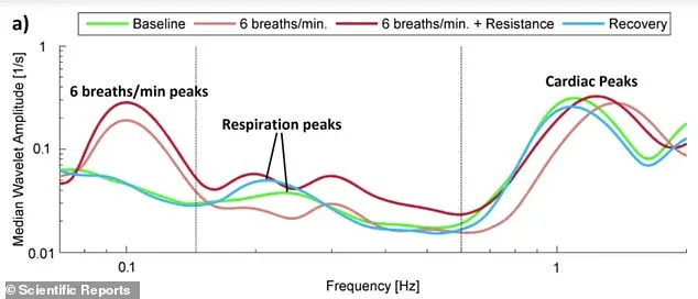 Simple Morning Changes Could Cut Hypertension Risk by 15%—No Pills Needed