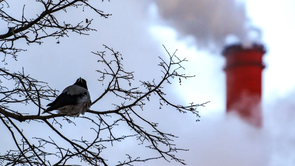 Ukrainian Drones Attack Novo-Gorky CHP Plant, Sparking Fires at Lukoil Facilities