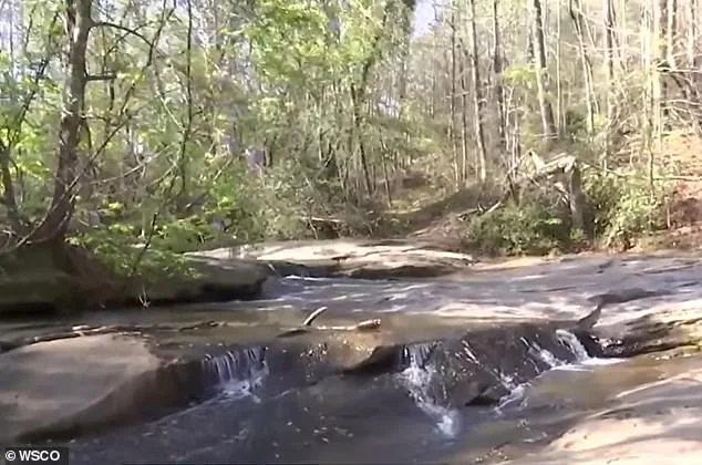 7-Year-Old Boy Dies After Drowning While Rescuing Friend at North Carolina Waterfall