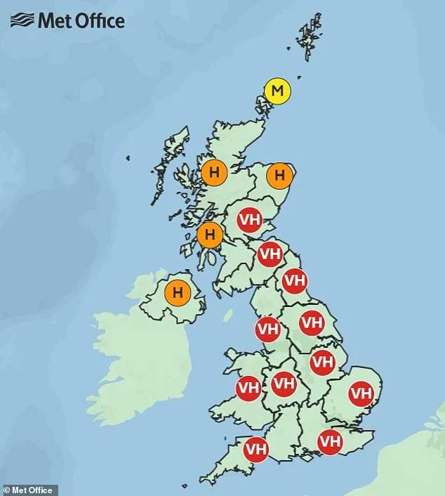 UK Pollen Levels Reach Crisis Point as Hay Fever Sufferers Take to Social Media