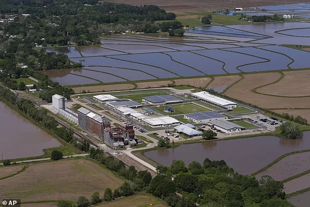 Wife of US Soldier Released from ICE Custody Amid Ongoing Removal Proceedings