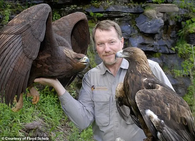 From Olympic Collapse to Musical Redemption: Floyd Scholz's Unlikely Journey