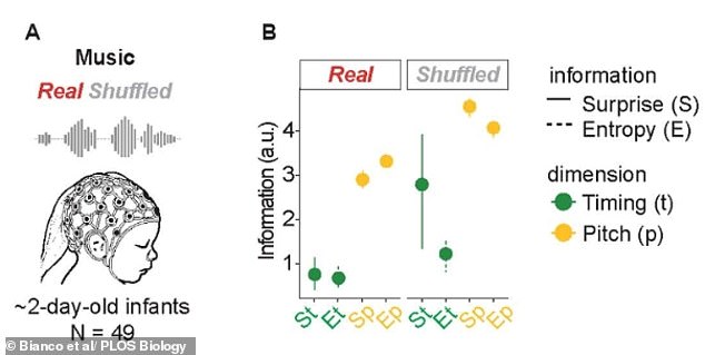Newborns' Innate Ability to Predict Musical Rhythms Challenges Long-Held Assumptions About Learning