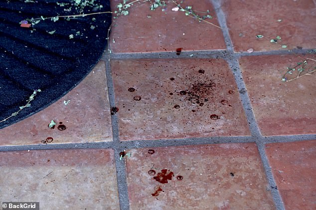 Tense Search for 84-Year-Old Nancy Guthrie Intensifies as Sheriff Faces Pressure Amid Unsubstantiated Tips