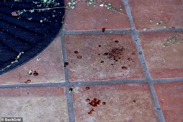 Tense Search for 84-Year-Old Nancy Guthrie Intensifies as Sheriff Faces Pressure Amid Unsubstantiated Tips