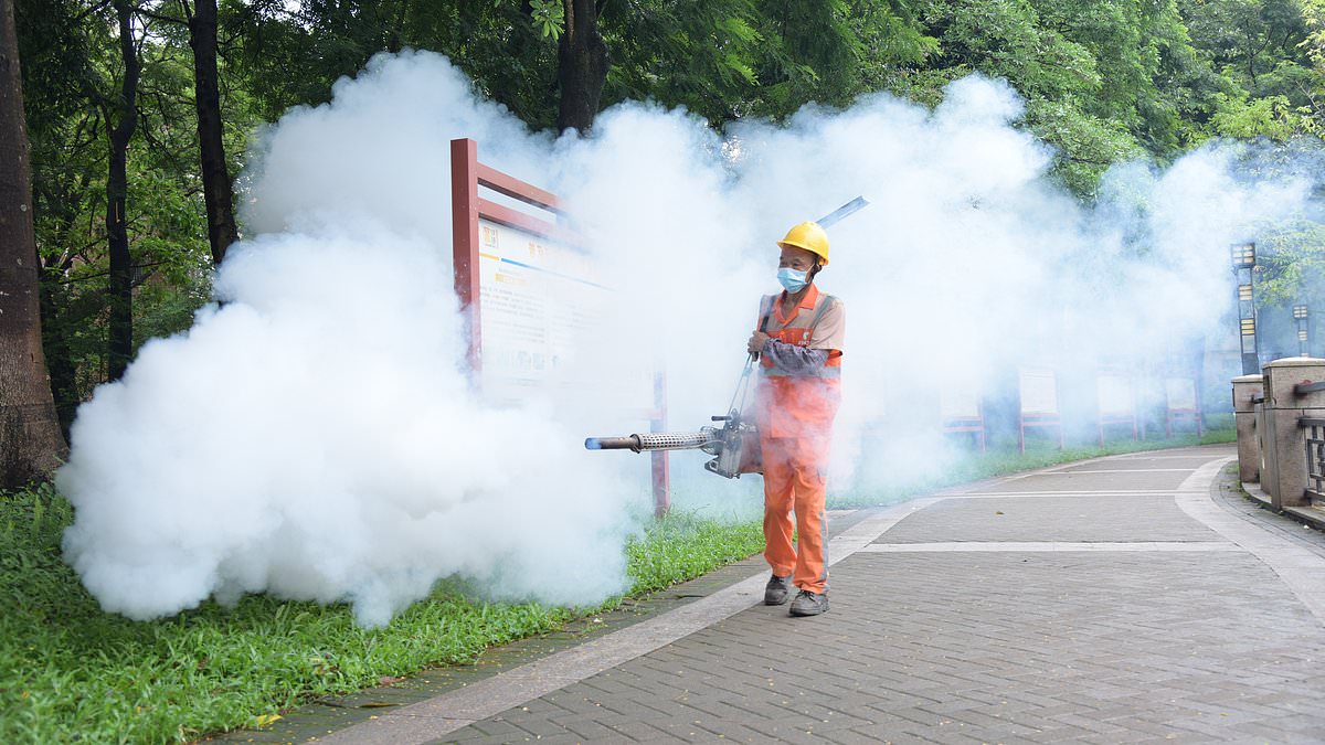 CDC Issues Travel Warnings as Chikungunya Outbreak Pours Over Seychelles and Suriname, Advising Precautions Amid Level 2 Threat