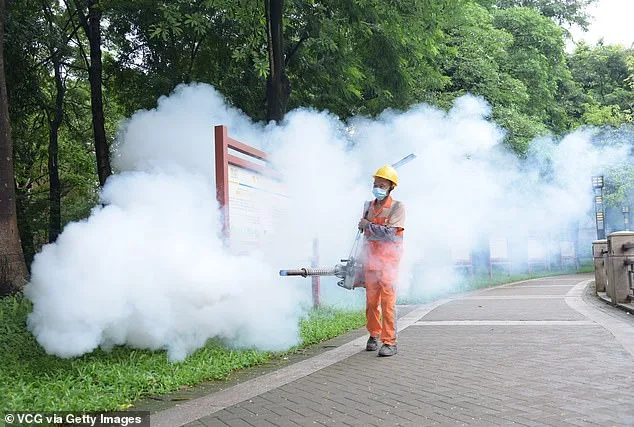 CDC Issues Travel Warnings as Chikungunya Outbreak Pours Over Seychelles and Suriname, Advising Precautions Amid Level 2 Threat