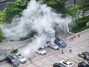 CDC Issues Travel Warnings as Chikungunya Outbreak Pours Over Seychelles and Suriname, Advising Precautions Amid Level 2 Threat