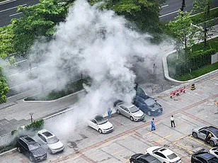 CDC Issues Travel Warnings as Chikungunya Outbreak Pours Over Seychelles and Suriname, Advising Precautions Amid Level 2 Threat