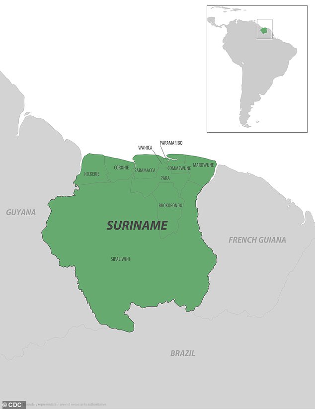 CDC Issues Travel Warnings as Chikungunya Outbreak Pours Over Seychelles and Suriname, Advising Precautions Amid Level 2 Threat