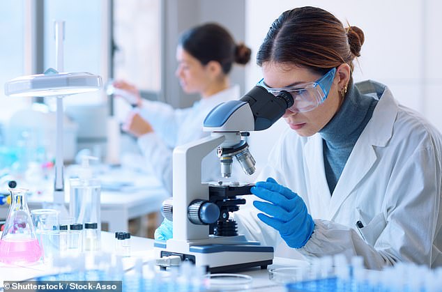 Molecular Glue Drug Triggers Cancer Cell Self-Destruction in Kidney Cancer Trials