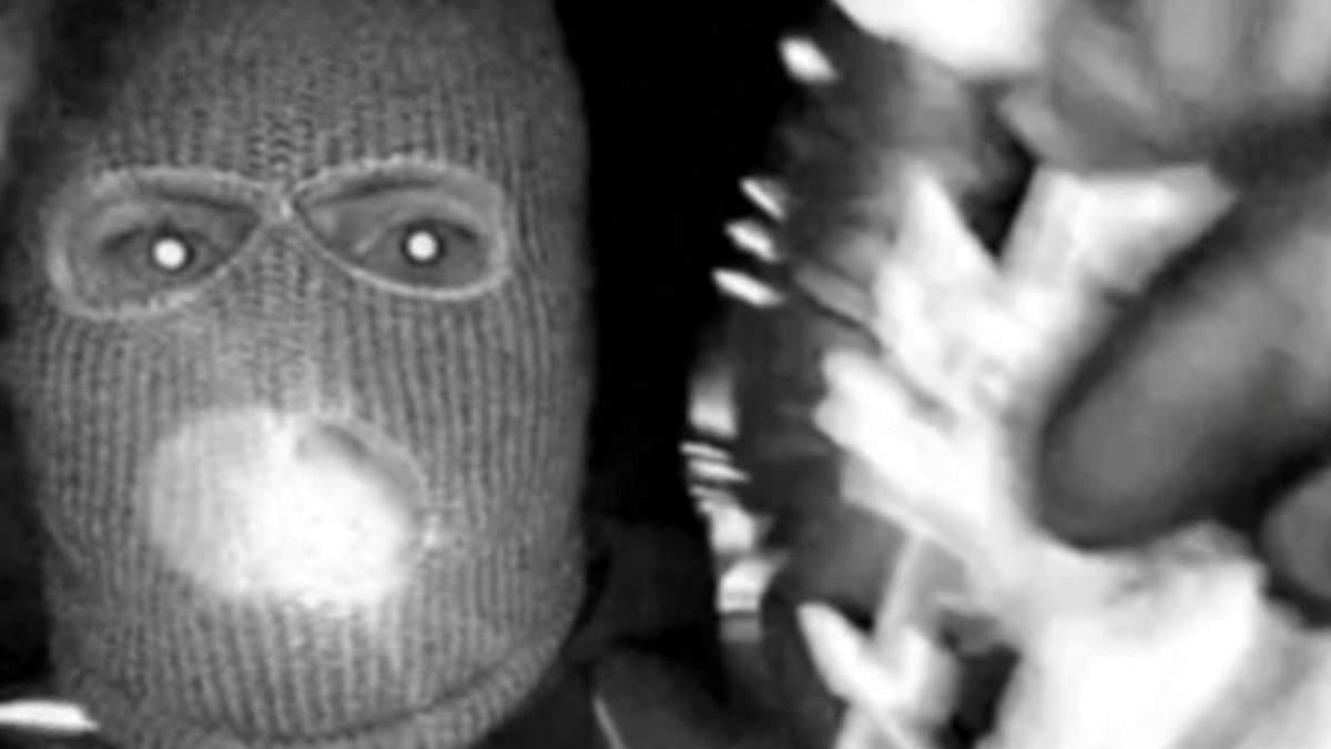 Savannah Guthrie Shares Chilling Photos of Alleged Abductor in Desperate Plea for Mother's Return