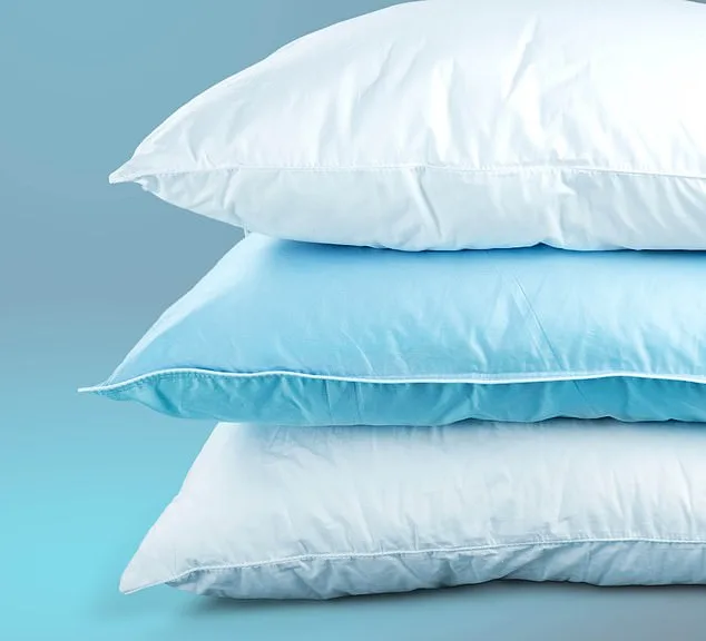 The Hidden Bed Biome: How Bacteria, Mites, and Fungi Are Sabotaging Your Sleep and Health