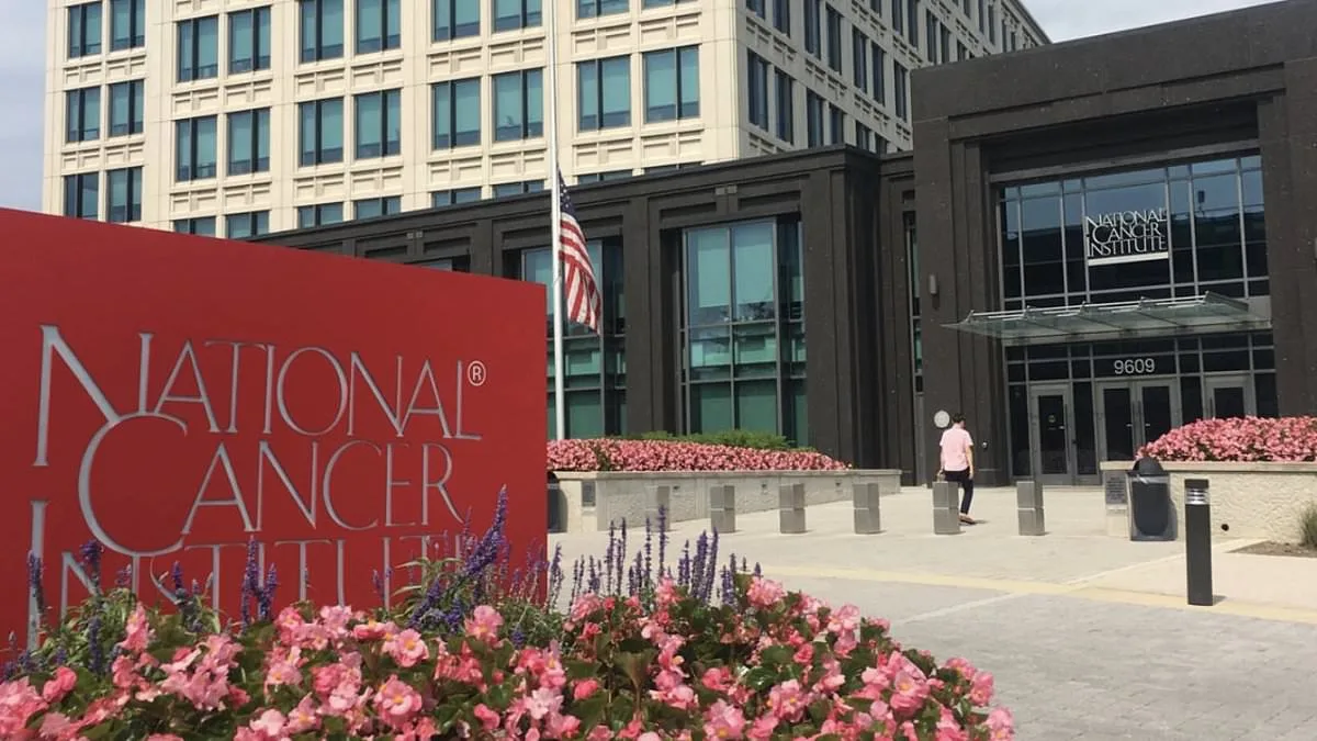 NIH Launches Controversial Ivermectin Cancer Study Amid Pandemic Scrutiny and Scientific Debate