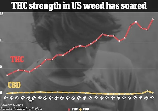 Study Suggests Moderate Cannabis Use May Protect Brain Health in Older Adults, Researchers Find