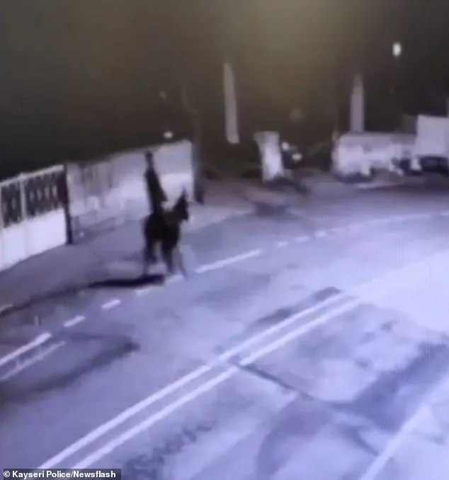 Kayseri Jewelry Heist: Forklift and Donkey Used in Bizarre Gold Theft