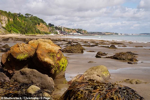 Seaweed: Ancient Superfood, Modern Dilemma—Nutrition, History, and the Regulation Questions It Raises