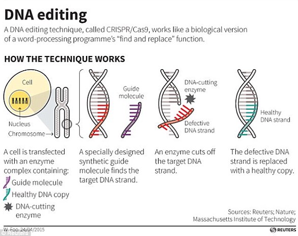Gene-Editing Breakthrough to Bring Cheap, Tasty Supersteaks to UK Shelves in 3 Years