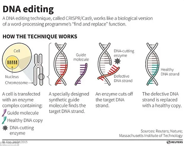 Gene-Editing Breakthrough to Bring Cheap, Tasty Supersteaks to UK Shelves in 3 Years