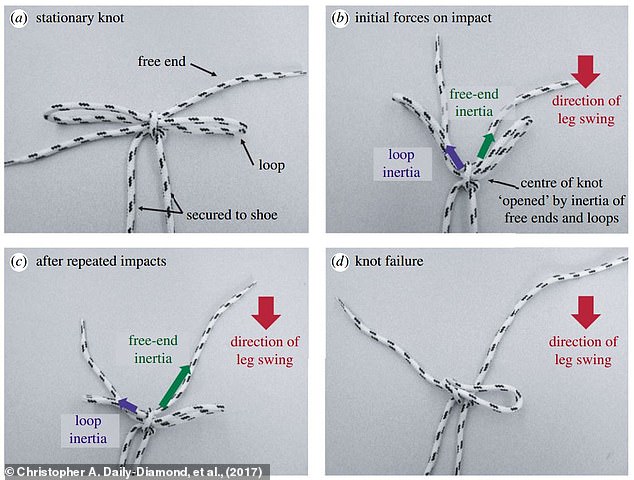 Shoelace Tying Reimagined: Experts Challenge Traditional Methods with Faster, Durable Alternatives Inspired by Ian Fieggen's Work